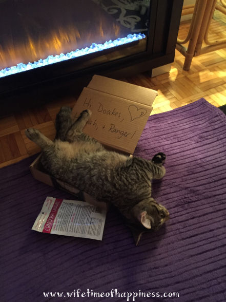 meowbox subscription