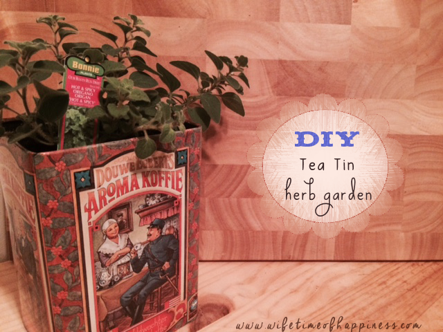 DIY Tea Tin Herb Garden