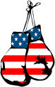american-flag-boxing-gloves