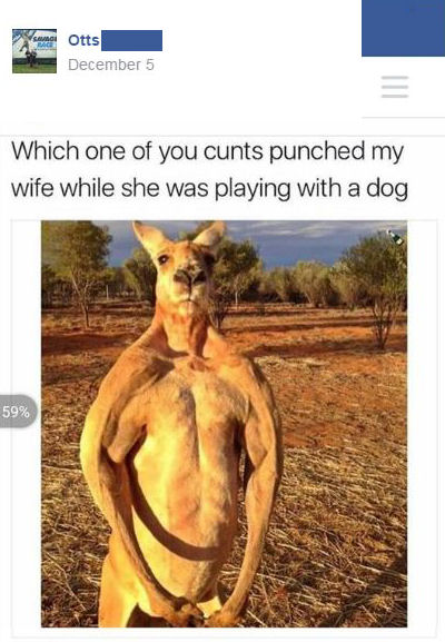 who punched my wife lol