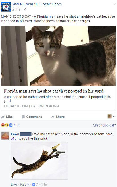 funny facebook comments armed kitty