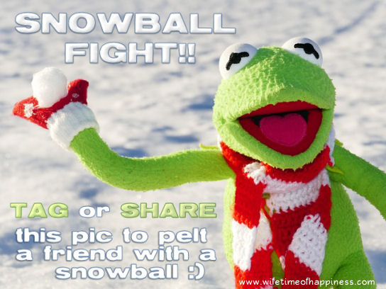 snowball fight game facebook kermit