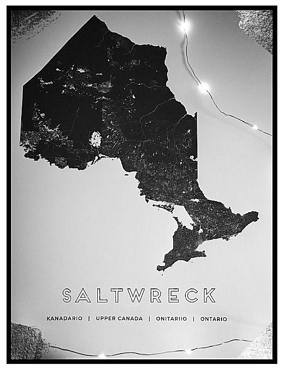 saltwreck map art print ontario